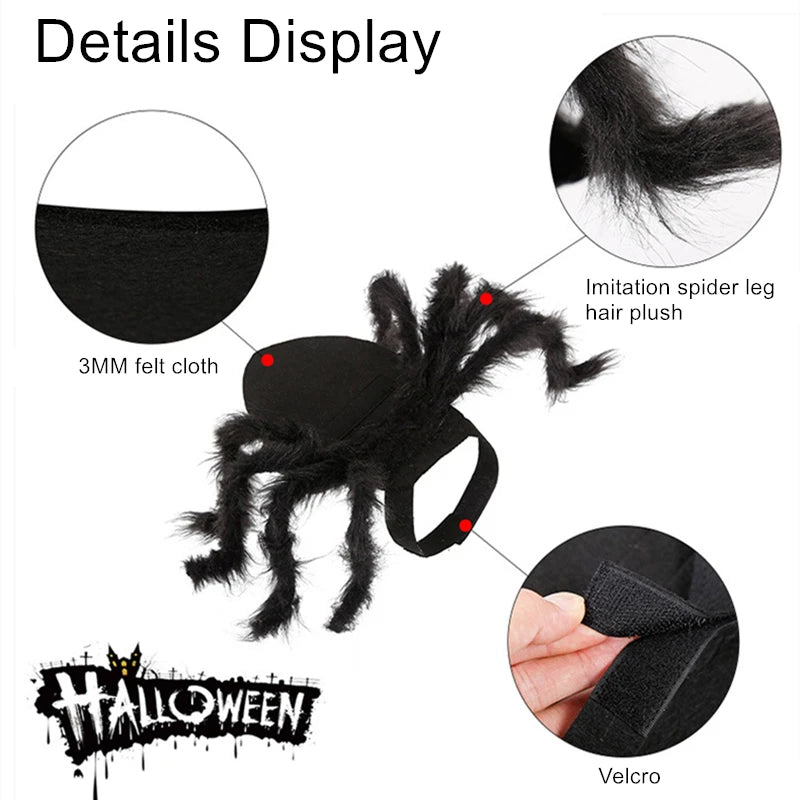 Spooky Bat Wings Pet Costume