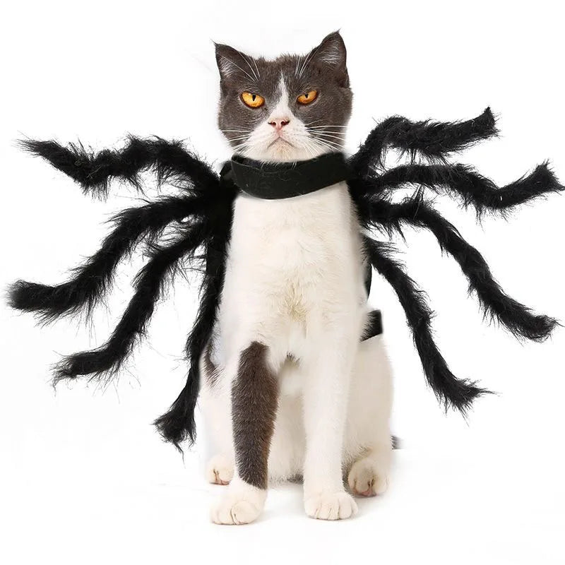Spooky Bat Wings Pet Costume